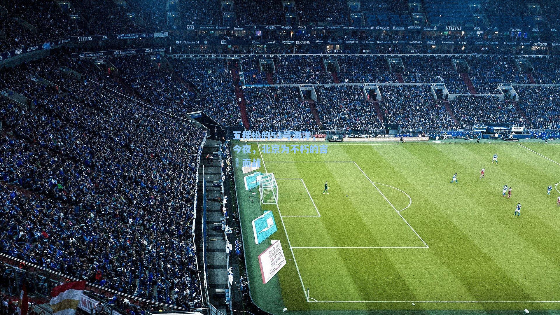 五棵松的51号海洋,今夜,北京为不朽的吉喆而战